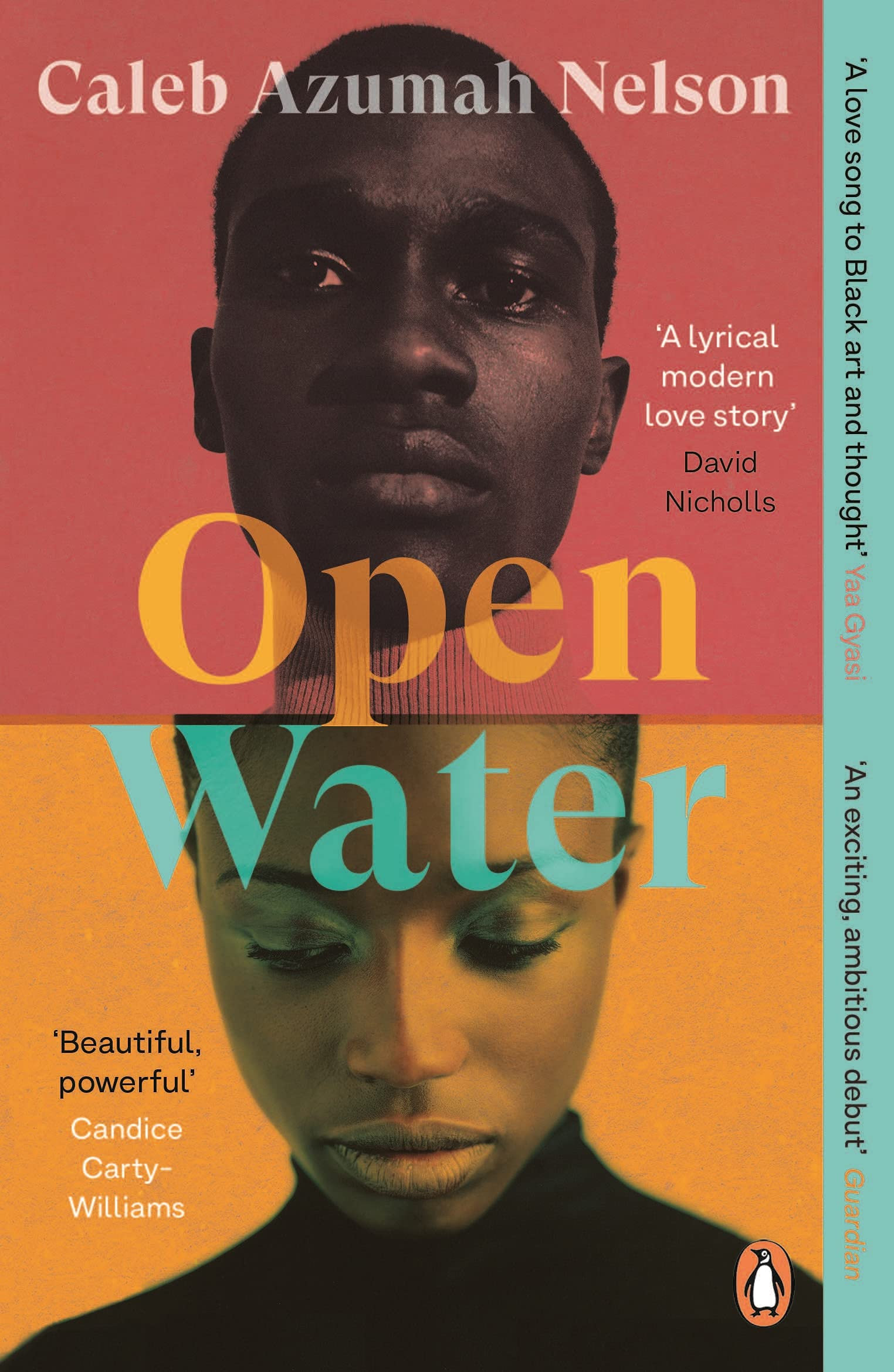 Open Water book cover